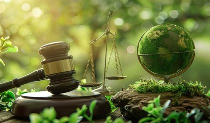 İklim Davalarında 'Gelecek Nesillerin Hakları' Kavramının Türk Hukukundaki Yeri: Çevre Mirası ve Hukuki Sorumluluk