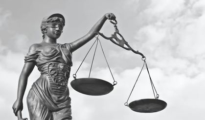 Usul Hukuku ve Demokrasi ​​​​​​​(Procedural Law and Democracy)