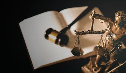 ZİHİNSEL ENGELLİ ÇOCUKLARIN HUKUKİ GELECEĞİ: VELAYETTEN VESAYETE GEÇİŞİN ÖNEMİ