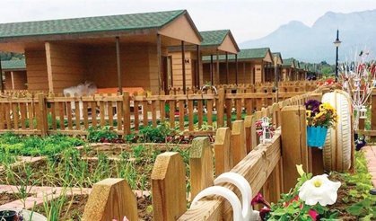 HOBİ BAHÇELERİNİN AFFI - 5 ÇÖZÜM ÖNERİSİ