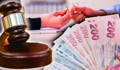 Aile Hukukunda Maddi Dayanışma Mekanizması: Tüm Yönleriyle Nafaka Türleri