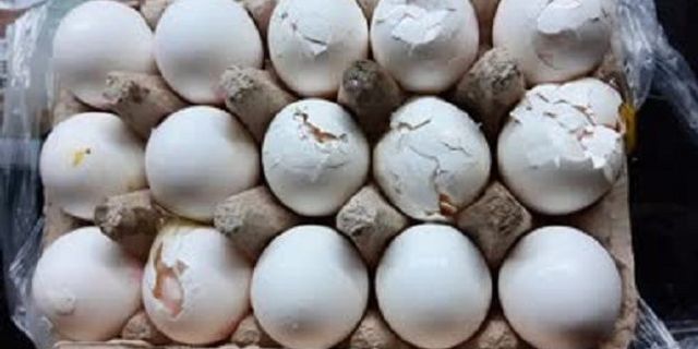'Bozuk yumurta' davasında market sahibine para cezası