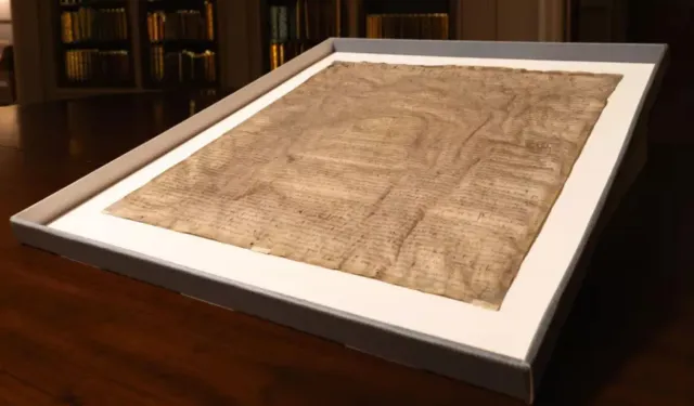Harvard Hukuk Fakültesi'nin 27,50 dolara satın aldığı Magna Carta 'kopyası' gerçek çıktı