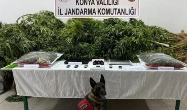 Çiftliğinde uyuşturucu ele geçirilen avukat beraat etti