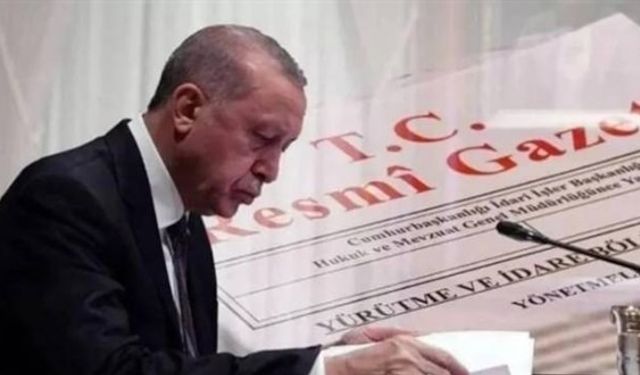 17 ile vali yardımcısı, 135 ilçeye kaymakam atandı