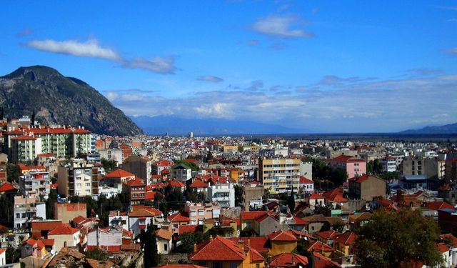 Ege'nin Sıvı Altınında Bu Yıl Rekor Beklentisi Üreticiyi Harekete Geçirdi