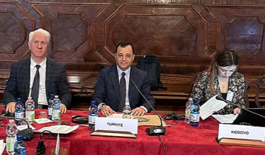 Anayasa Mahkemesi Başkanı Zühtü Arslan Venedik Komisyonu Genel Kuruluna katıldı
