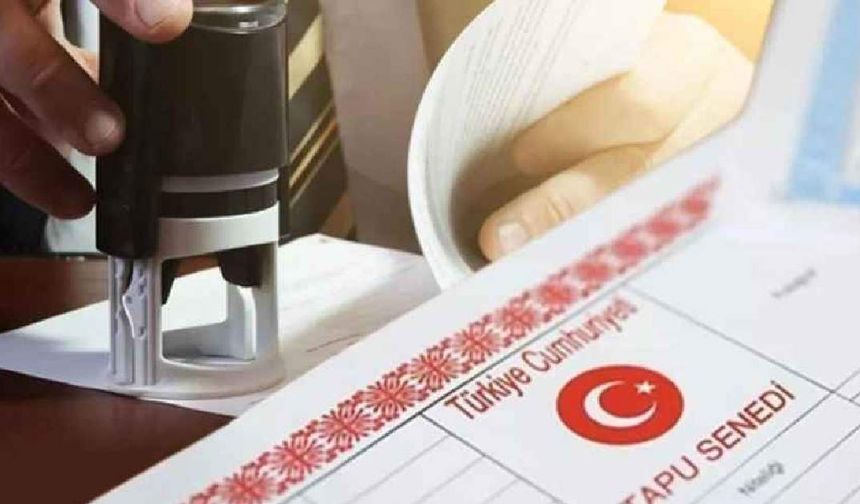 Tapuda online azil dönemi başladı