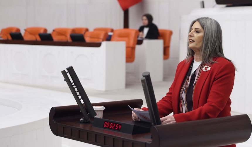 Sibel Suiçmez, Meclis Genel Kurul kürsüsünden Trabzon'un Kurtuluşunun 106. Yıl Dönümünü kutladı