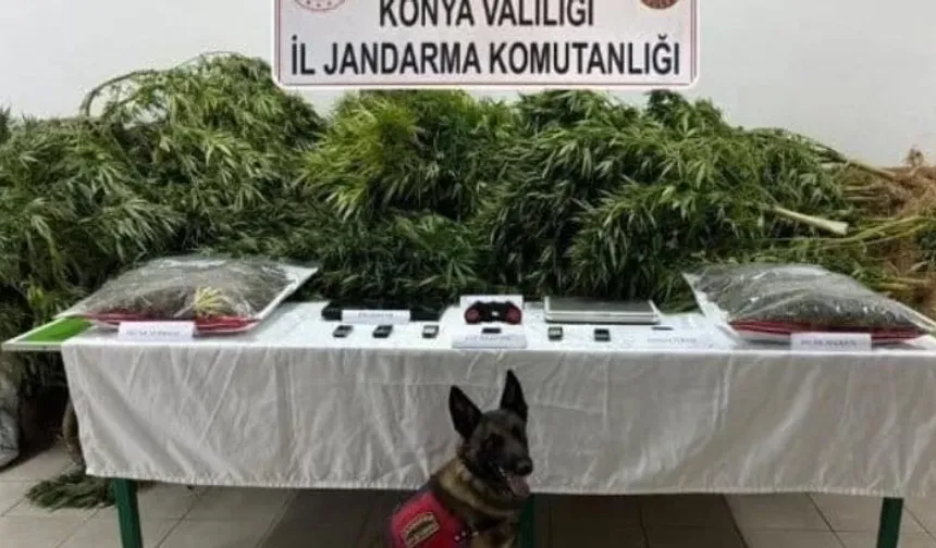 Çiftliğinde uyuşturucu ele geçirilen avukat beraat etti