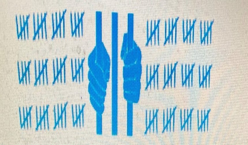 Türk Cezaevlerine Özgü İlkeler Demeti