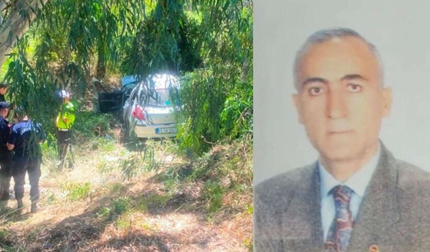 Ağaca çarpan otomobilin sürücüsü emekli savcı hayatını kaybetti