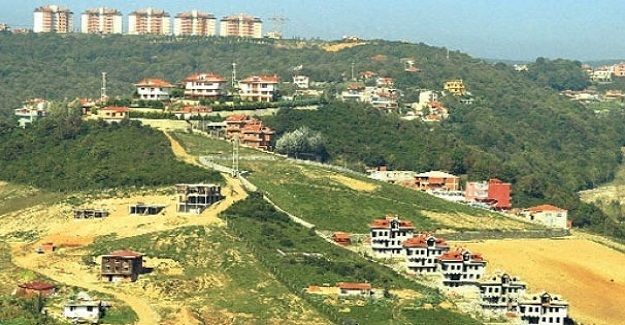 Mülkiyette Dönüm Noktası: 2B Arazilerinde Güncel Hukuki Süreç ve Hak Sahibi Hakları