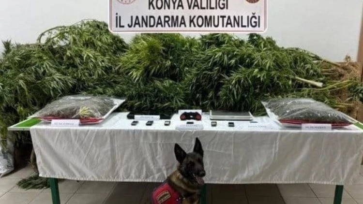 Çiftliğinde uyuşturucu ele geçirilen avukat beraat etti
